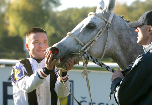 Velká Pardubická 2008 a vítězka Sixteen